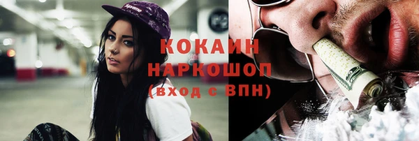 индика Балахна