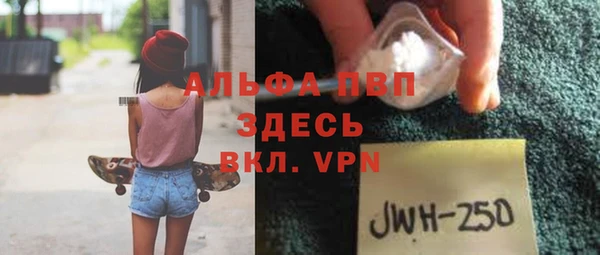индика Балахна