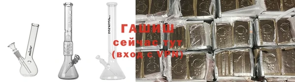 индика Балахна