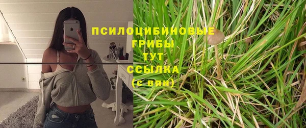 скорость Баксан