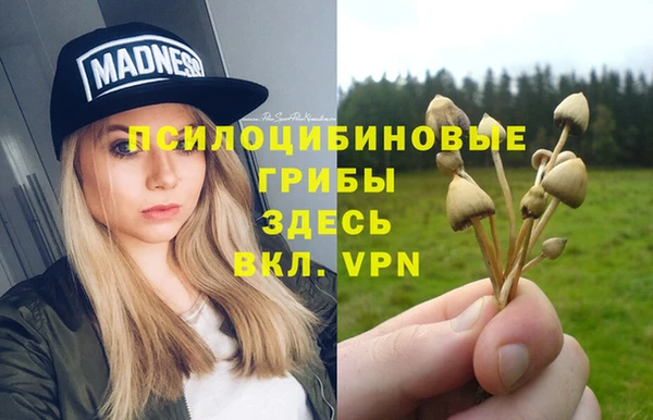 индика Балахна