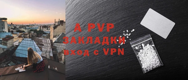 индика Балахна