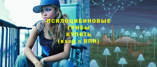 индика Балахна