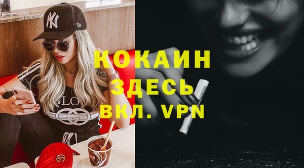 индика Балахна