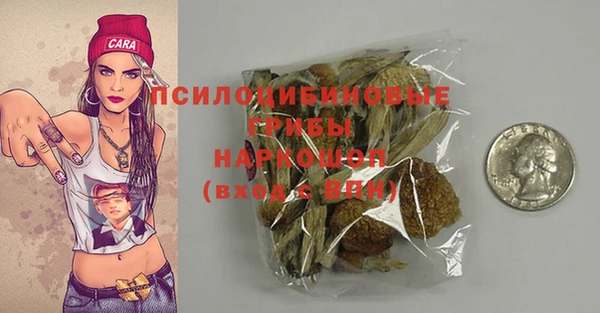 индика Балахна