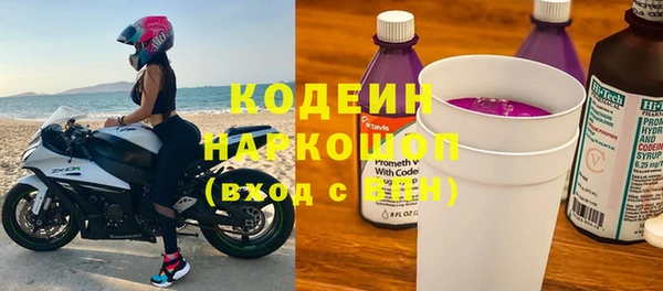 индика Балахна