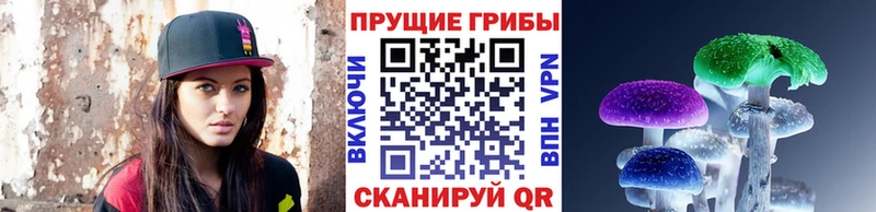 дарнет шоп  Обоянь  ссылка на мегу как зайти  Галлюциногенные грибы Psilocybe 